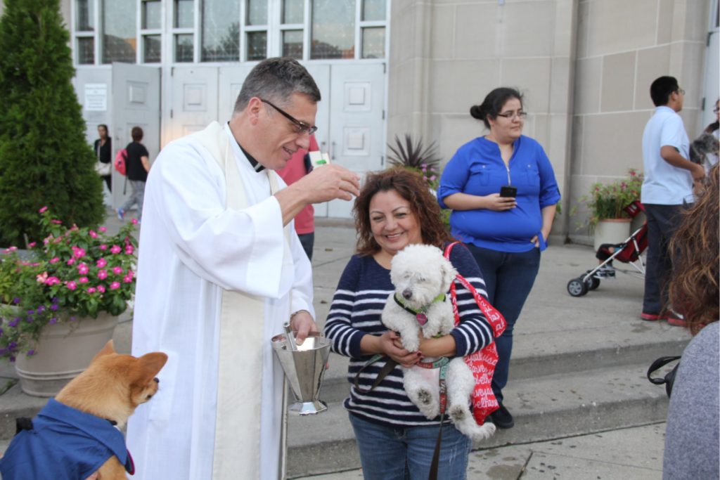 Father blesses a dog in honor of St Francis of Assisi